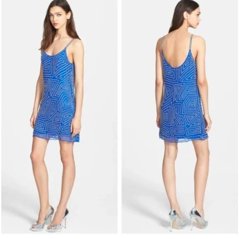 Parker Hayden Rhapsody Beaded Mini Dress